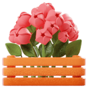 Cajas de flores