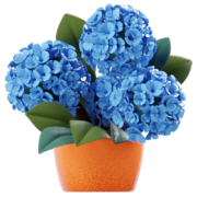 Hortensia