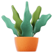 Fiori in vaso