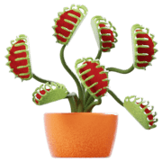 Plantes prédatrices