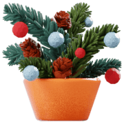 Зимние букеты