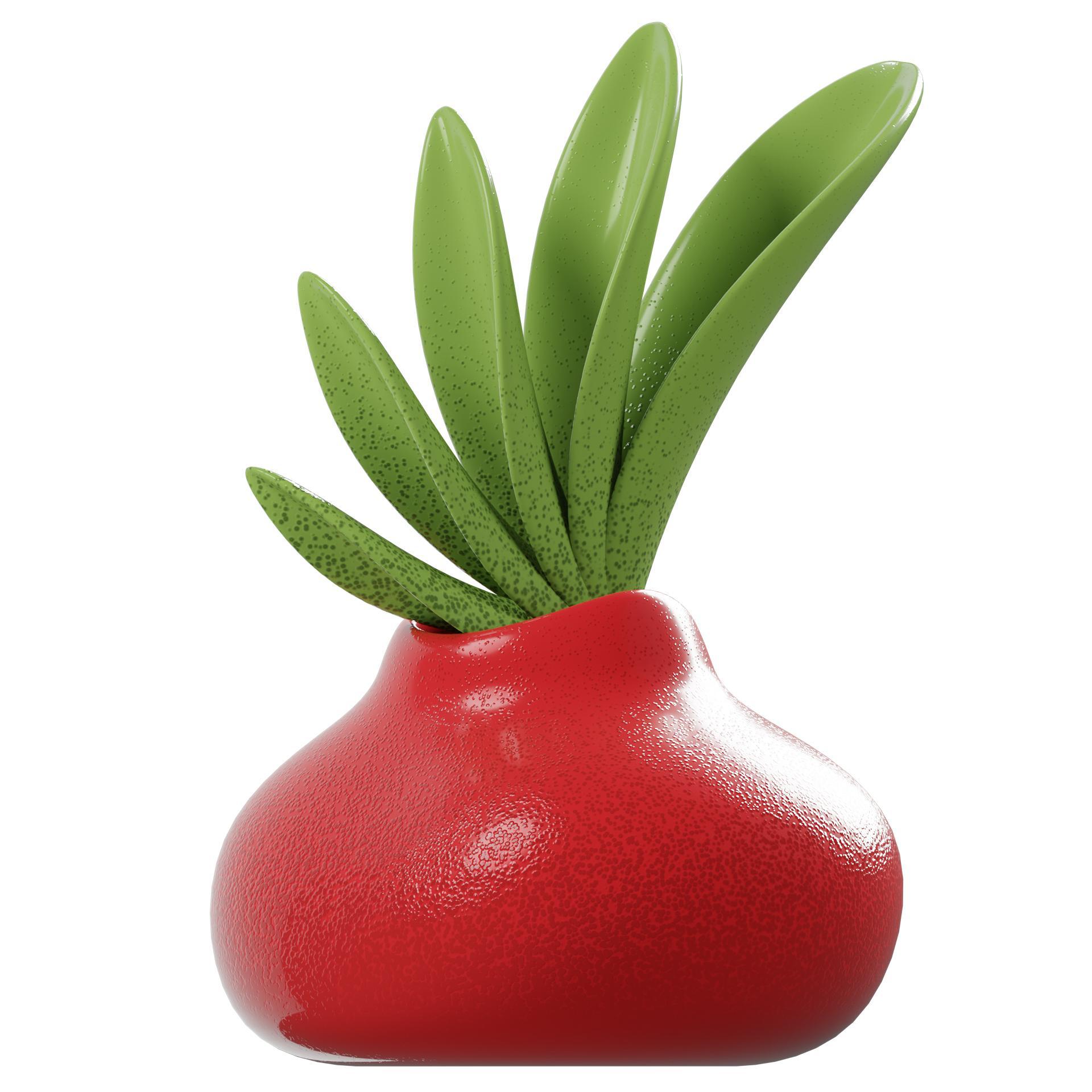 Амариллис шамдары