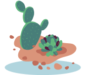 Suculentas, cactus