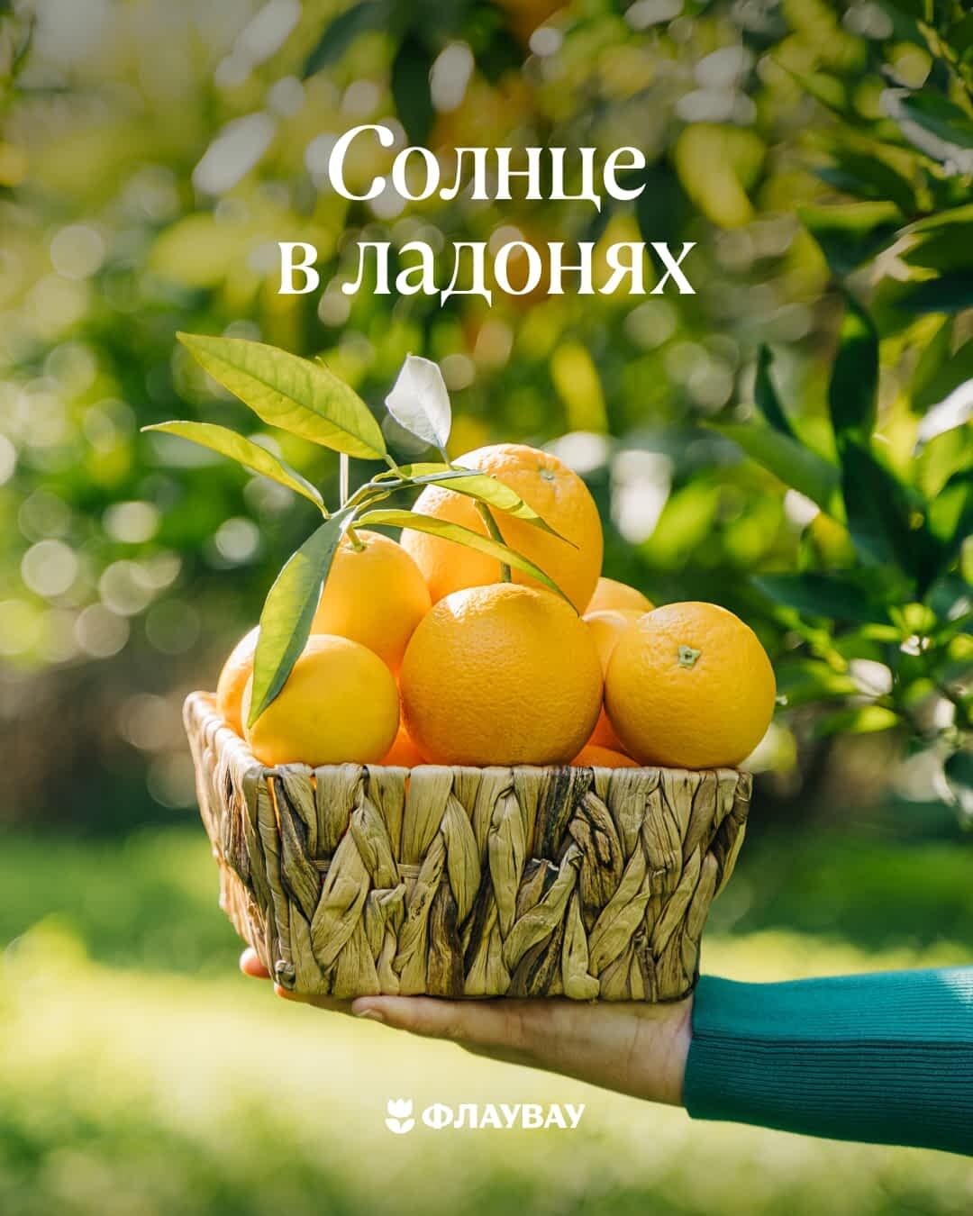 летние поздравления открытки