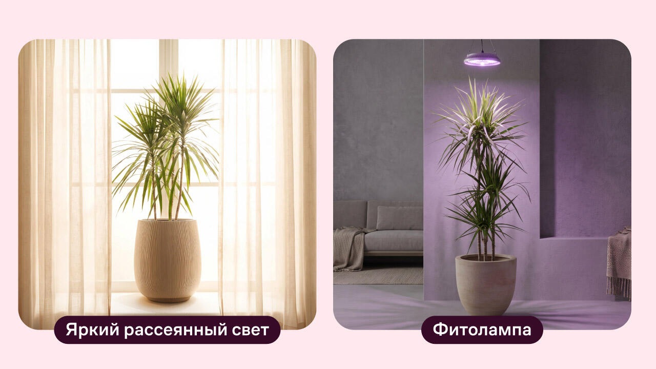 Освещение