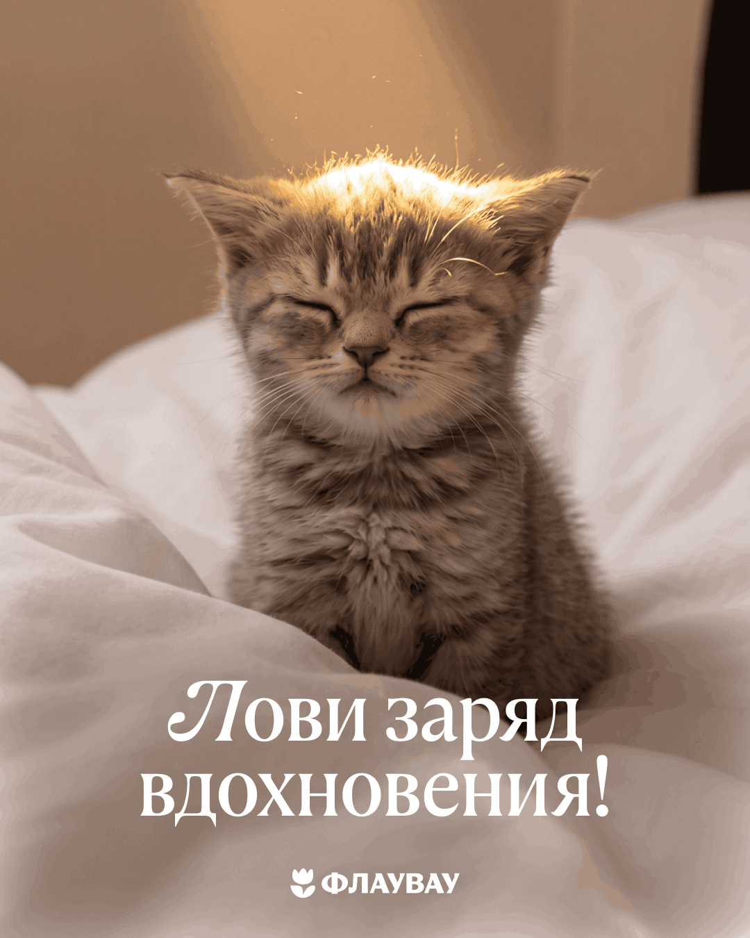 открытки с добрым утром бесплатно