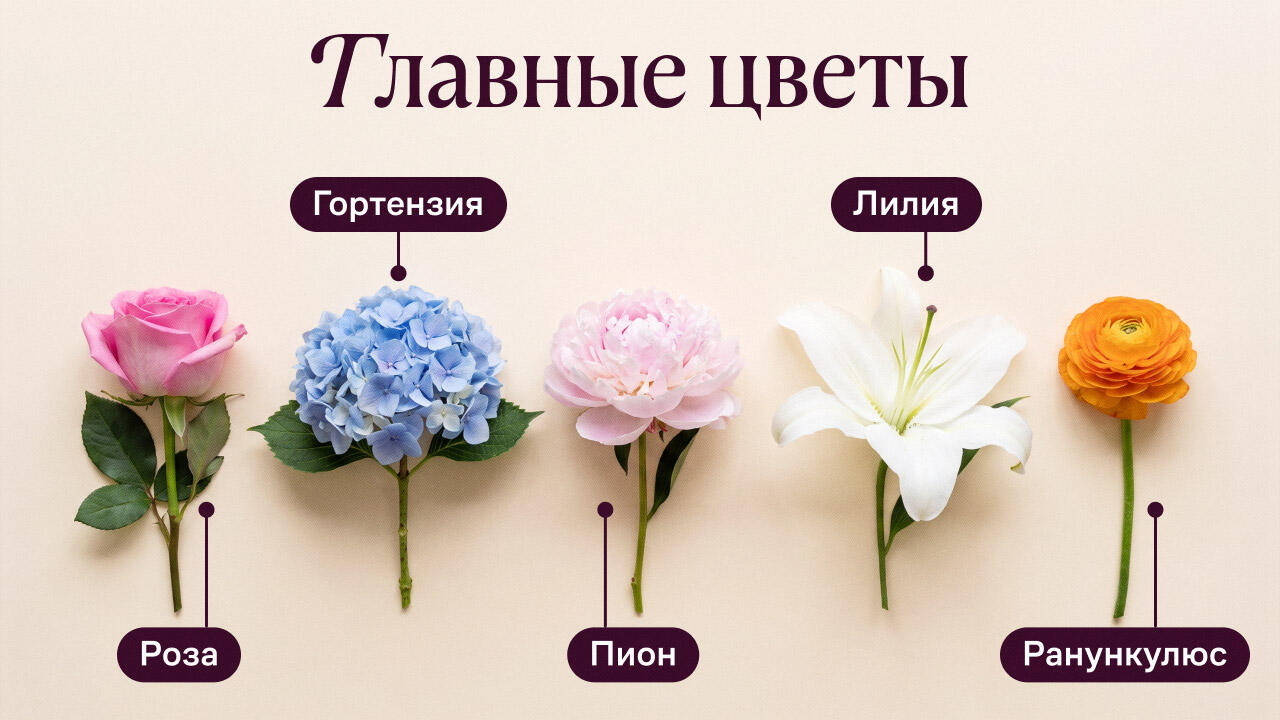 Главные цветы