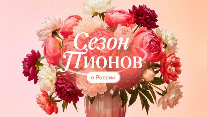 Сезон пионов в России