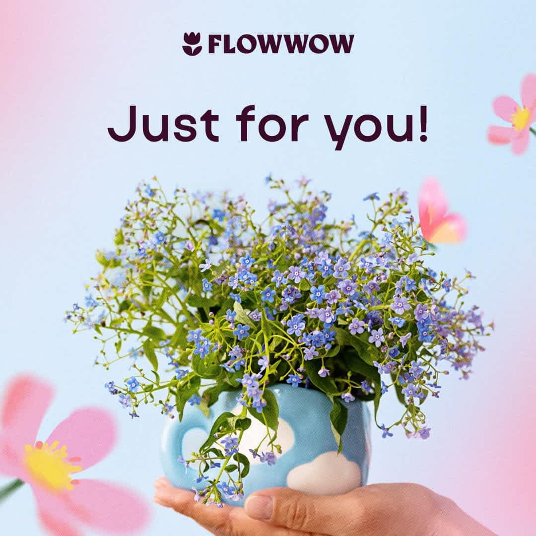cards with flowers