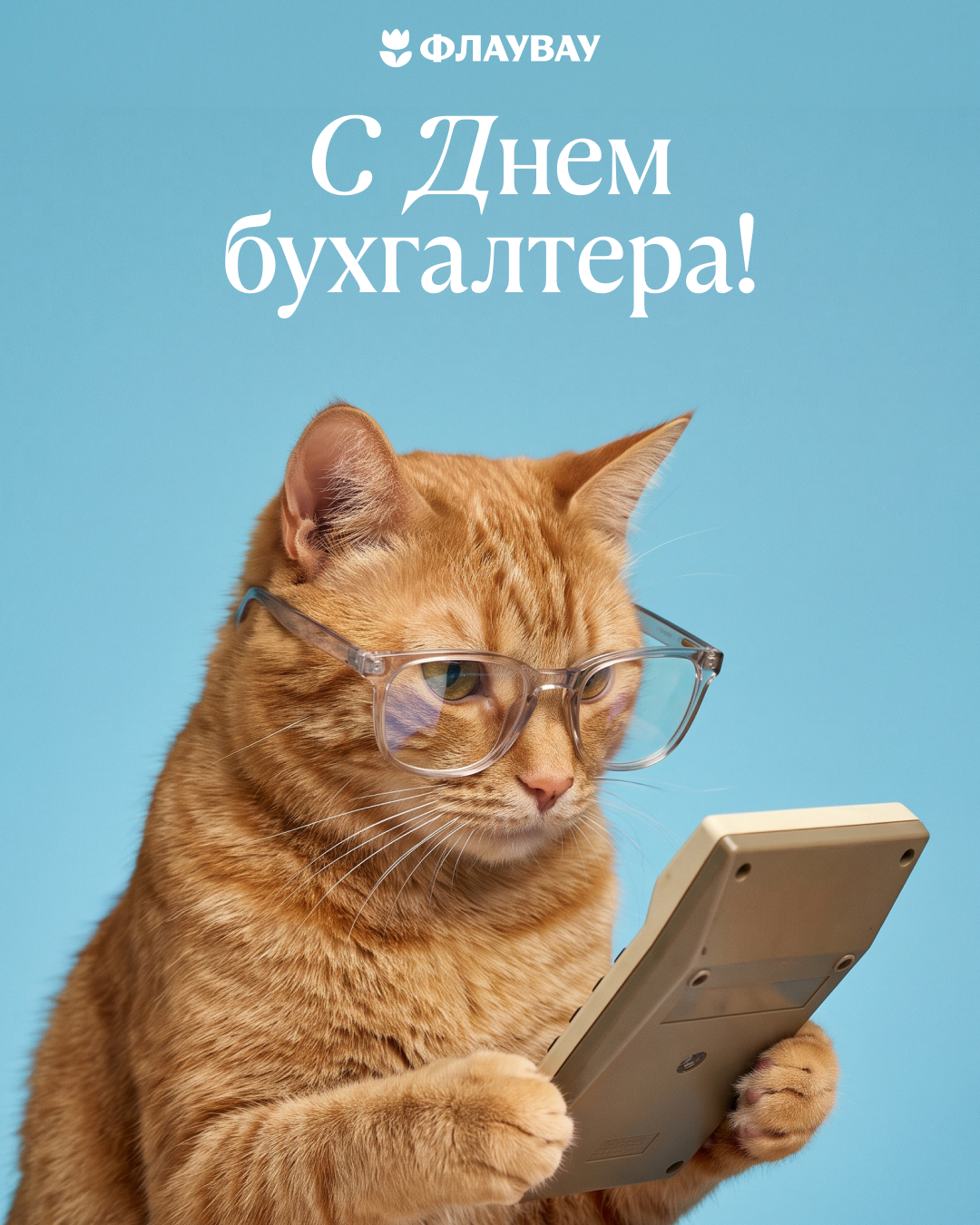 С днем бухгалтера открытка