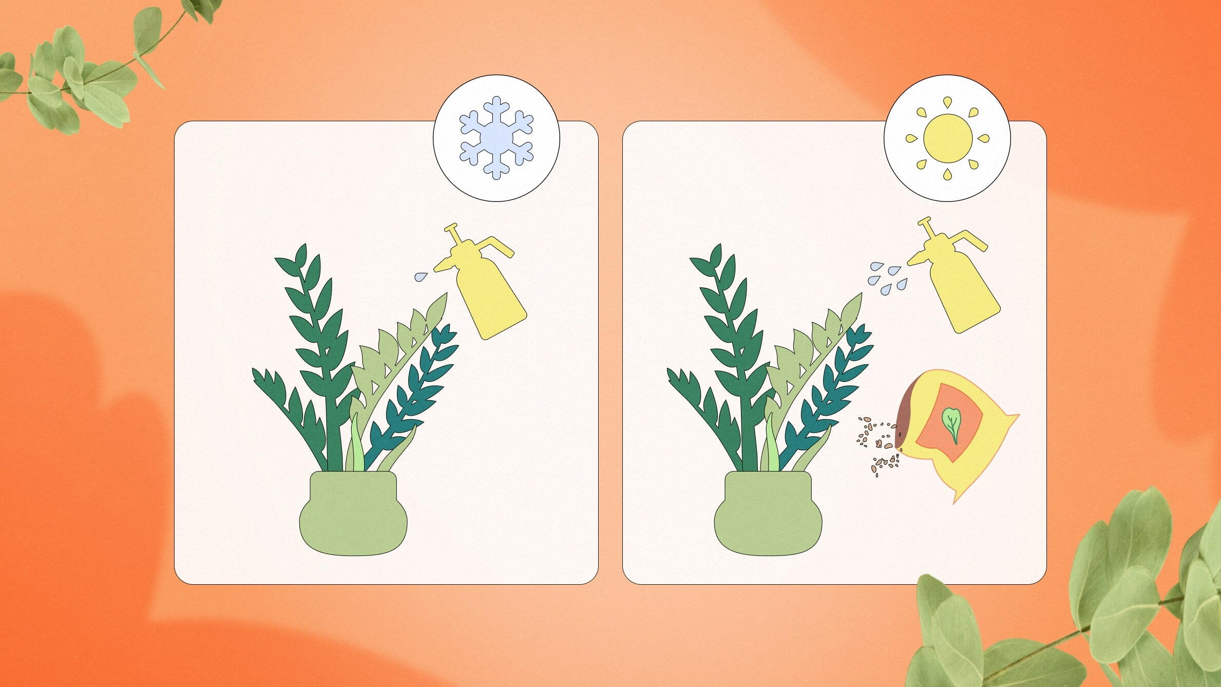 Удобрение для домашних лиственных растений