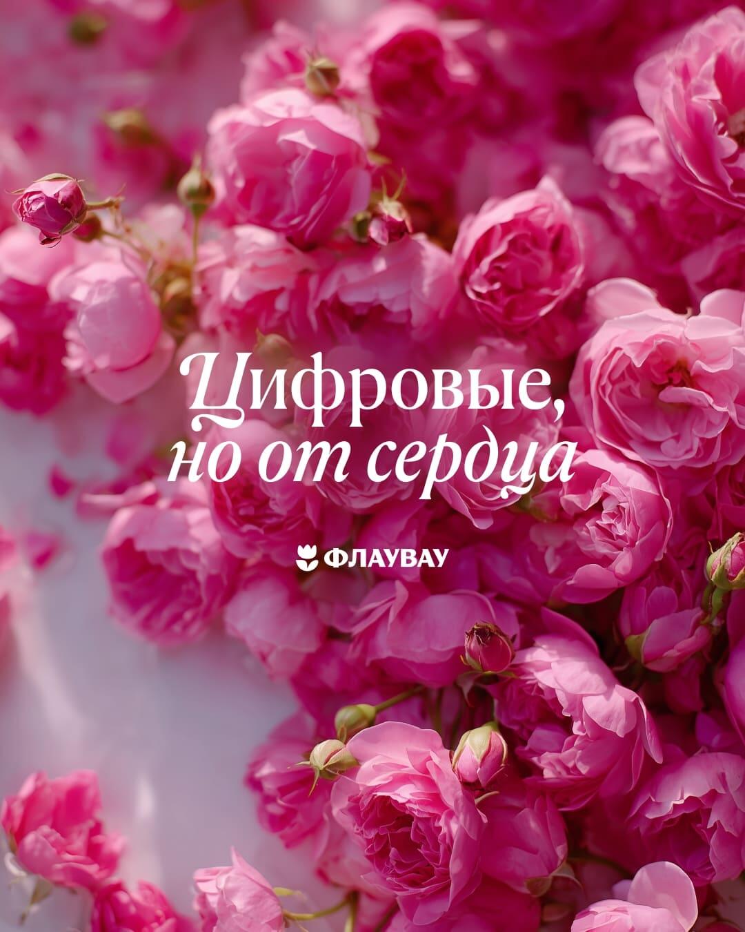 открытки с цветами роз