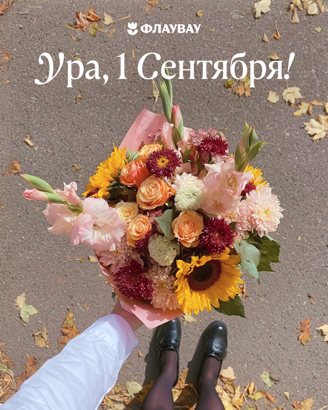 открытки на день знаний