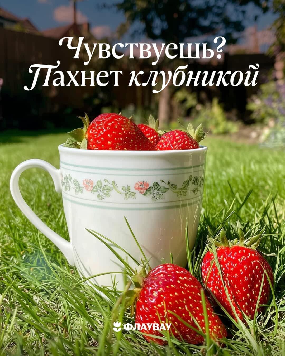 открытки с добрым утром летние
