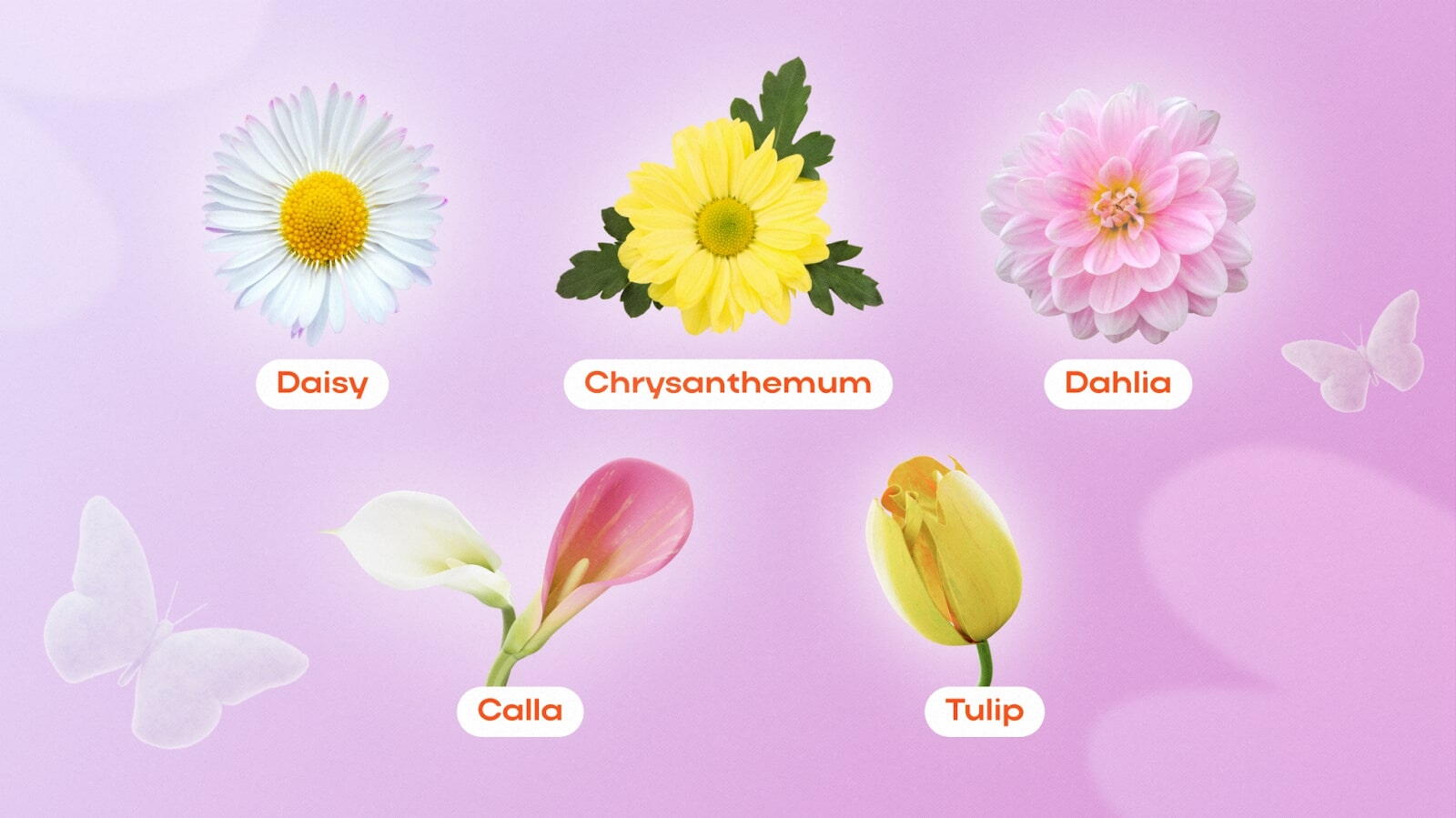 Unique flower names for girls