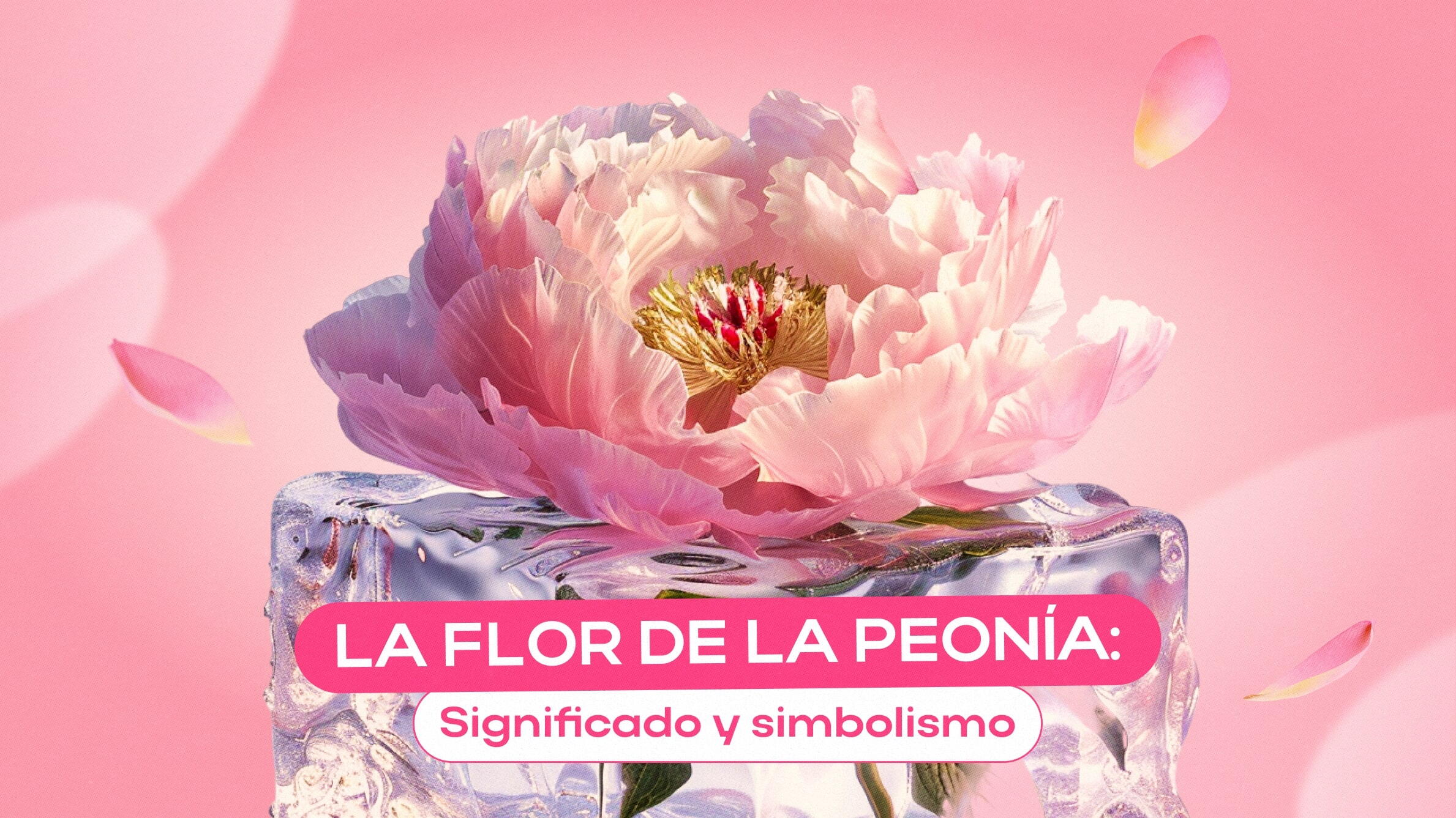 La flor de la peonía: Significado y simbolismo