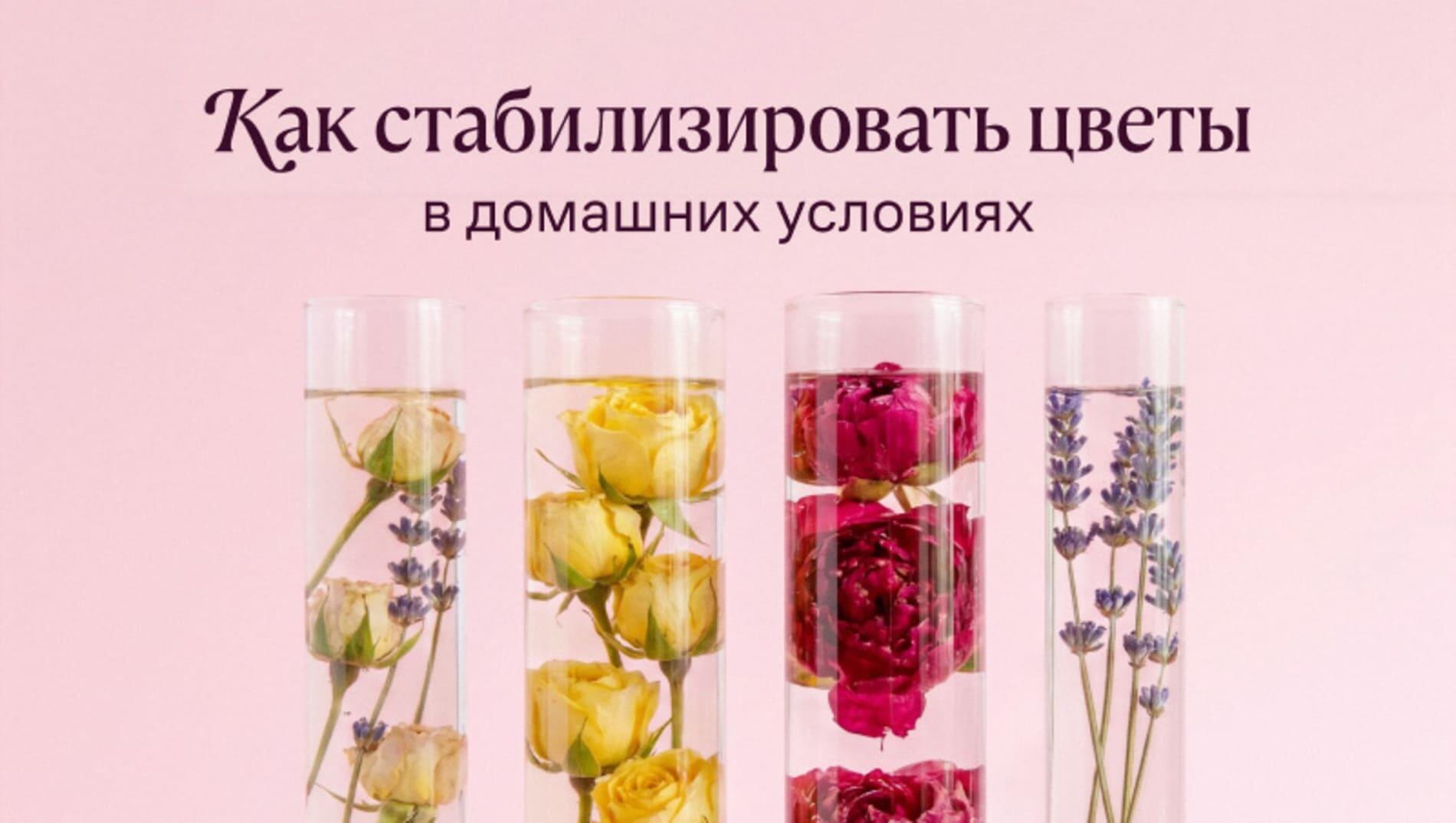 Как стабилизировать цветы в домашних условиях