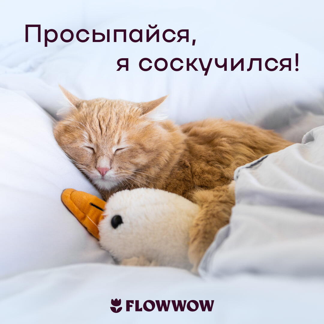 Открытка с добрым утром девушке
