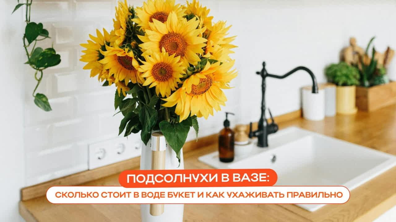 Подсолнухи в вазе