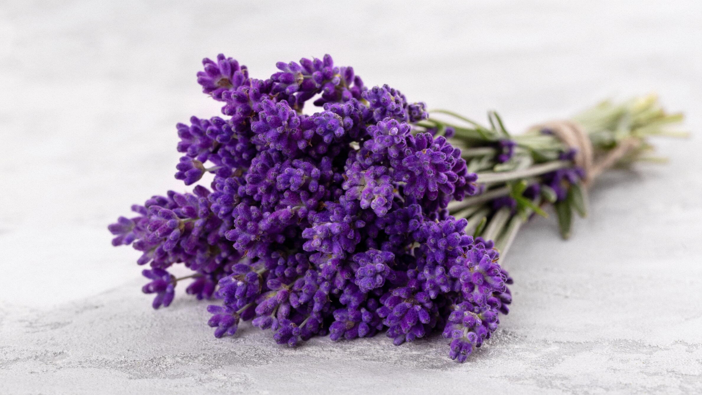 Lavender for Mothers Day