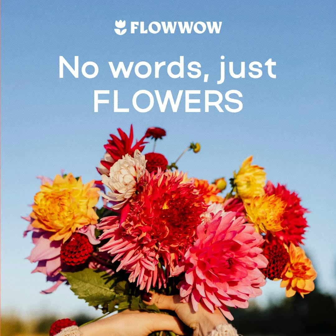 cards with flowers