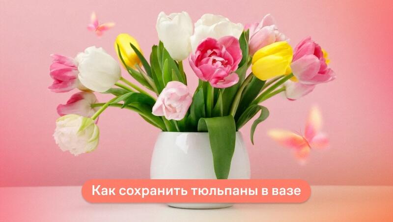 Как сохранить тюльпаны в вазе
