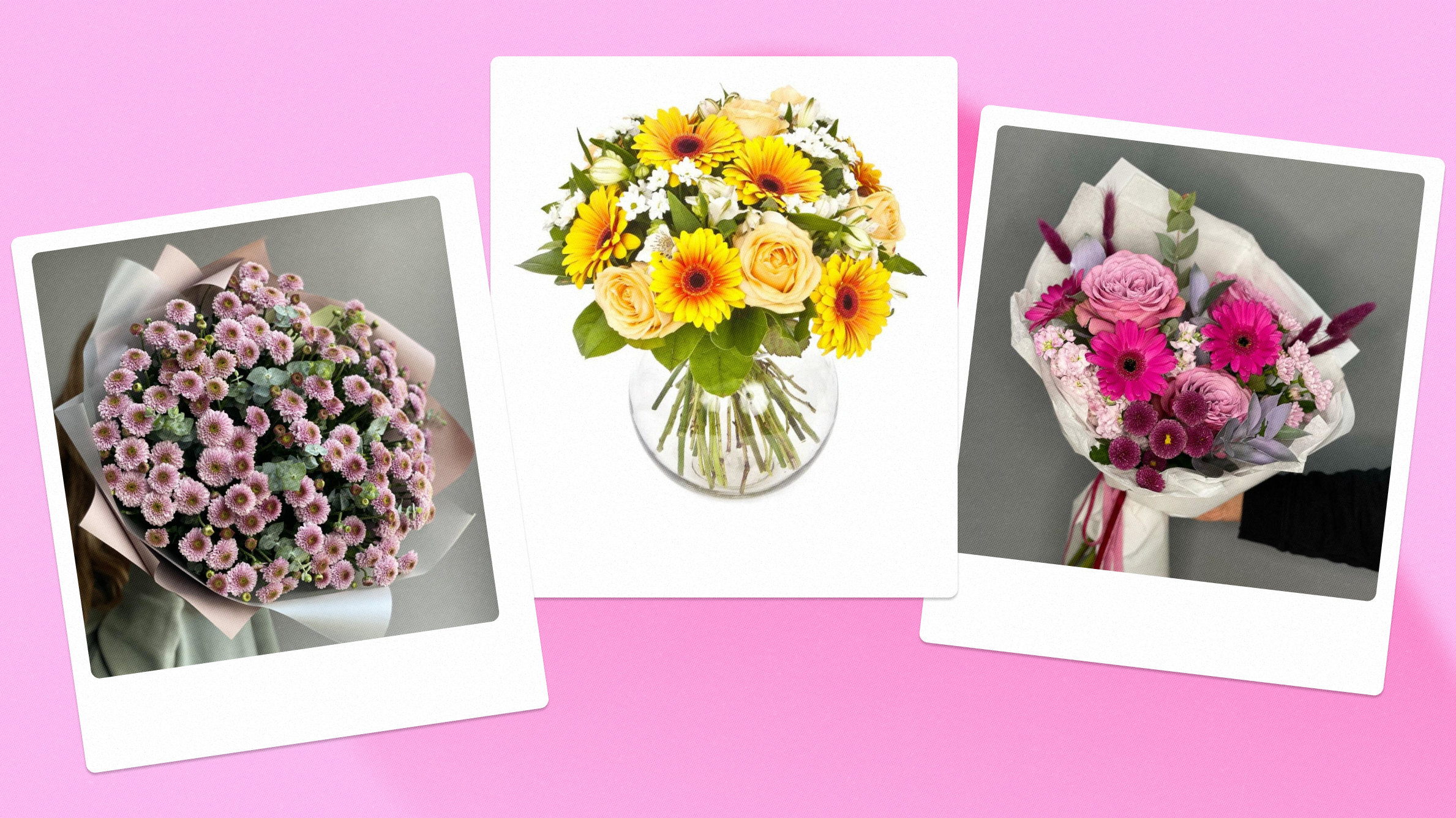 When to give chrysanthemum flowers