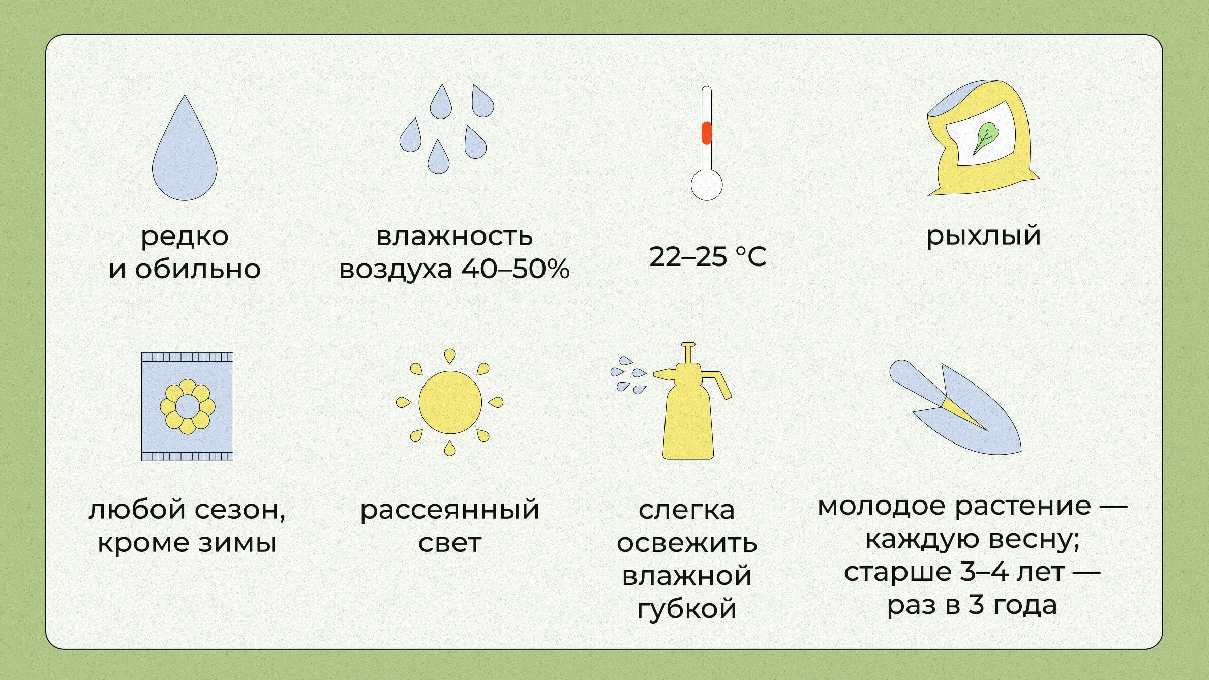 Алоэ, уход в домашних условиях: правильный полив, пересадка и выращивание  домашнего растения