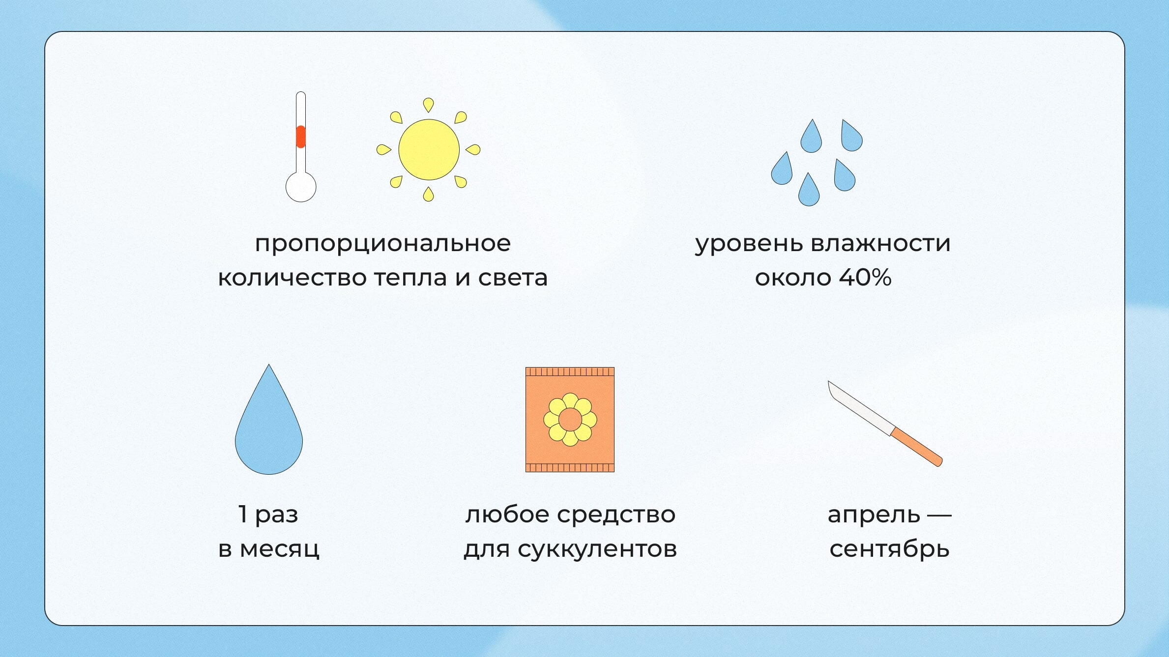 Уход за домашними кактусами