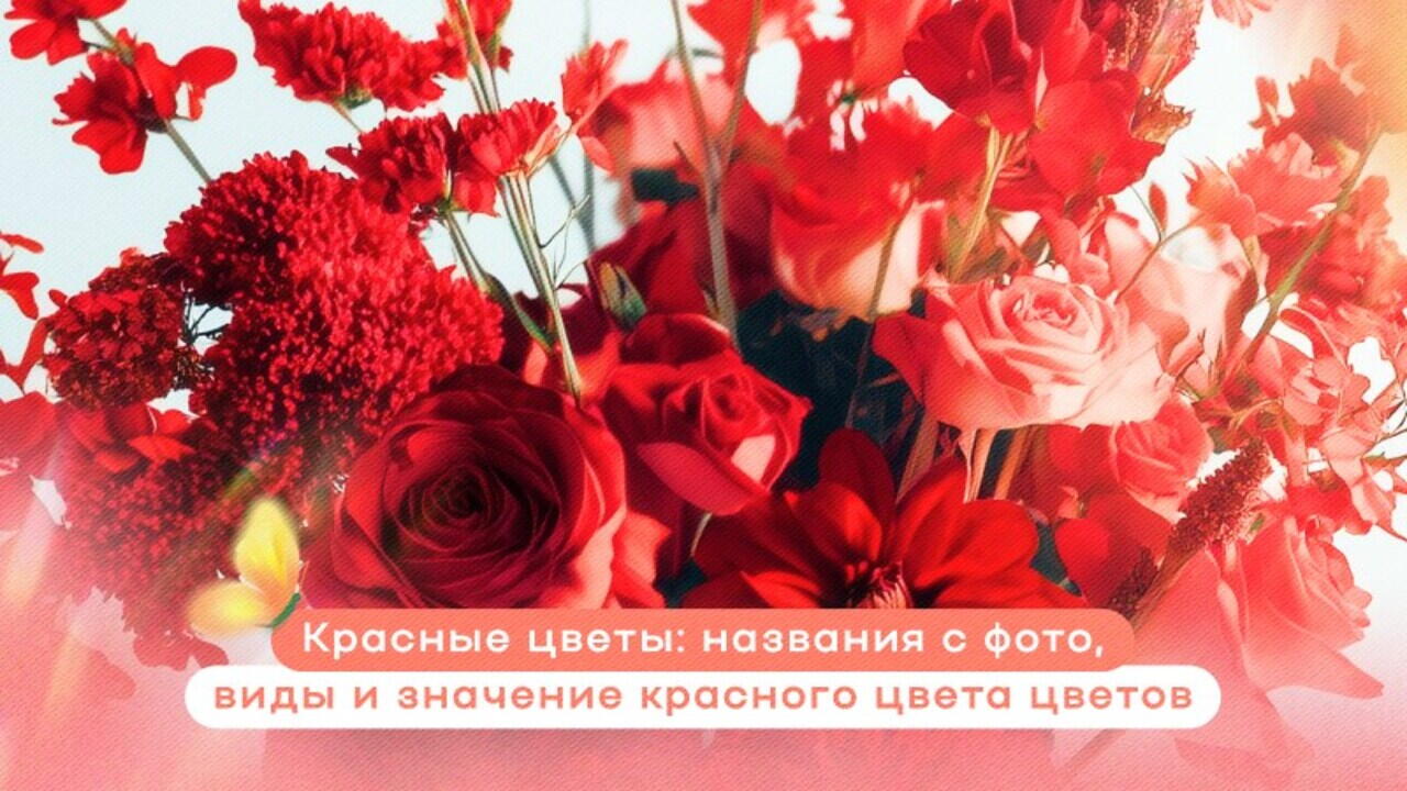 Значение цветов красного цвета
