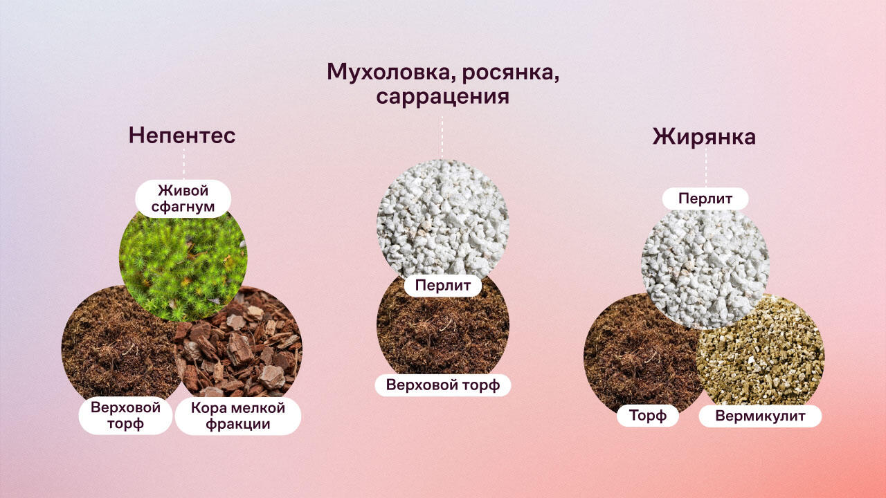 Состав грунта