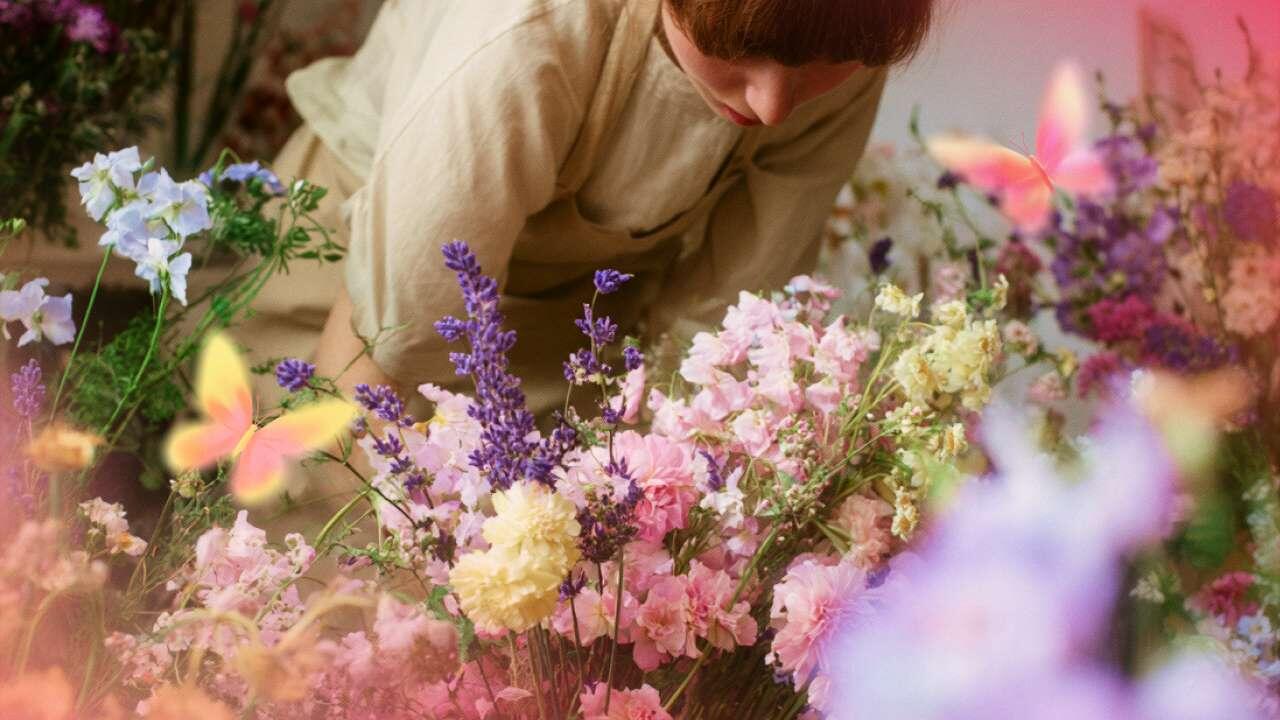 цветок близнецов