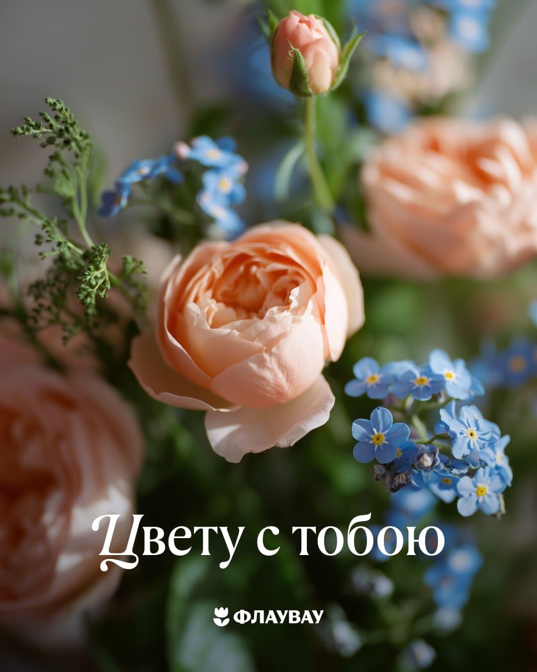 скачать открытку с букетом роз
