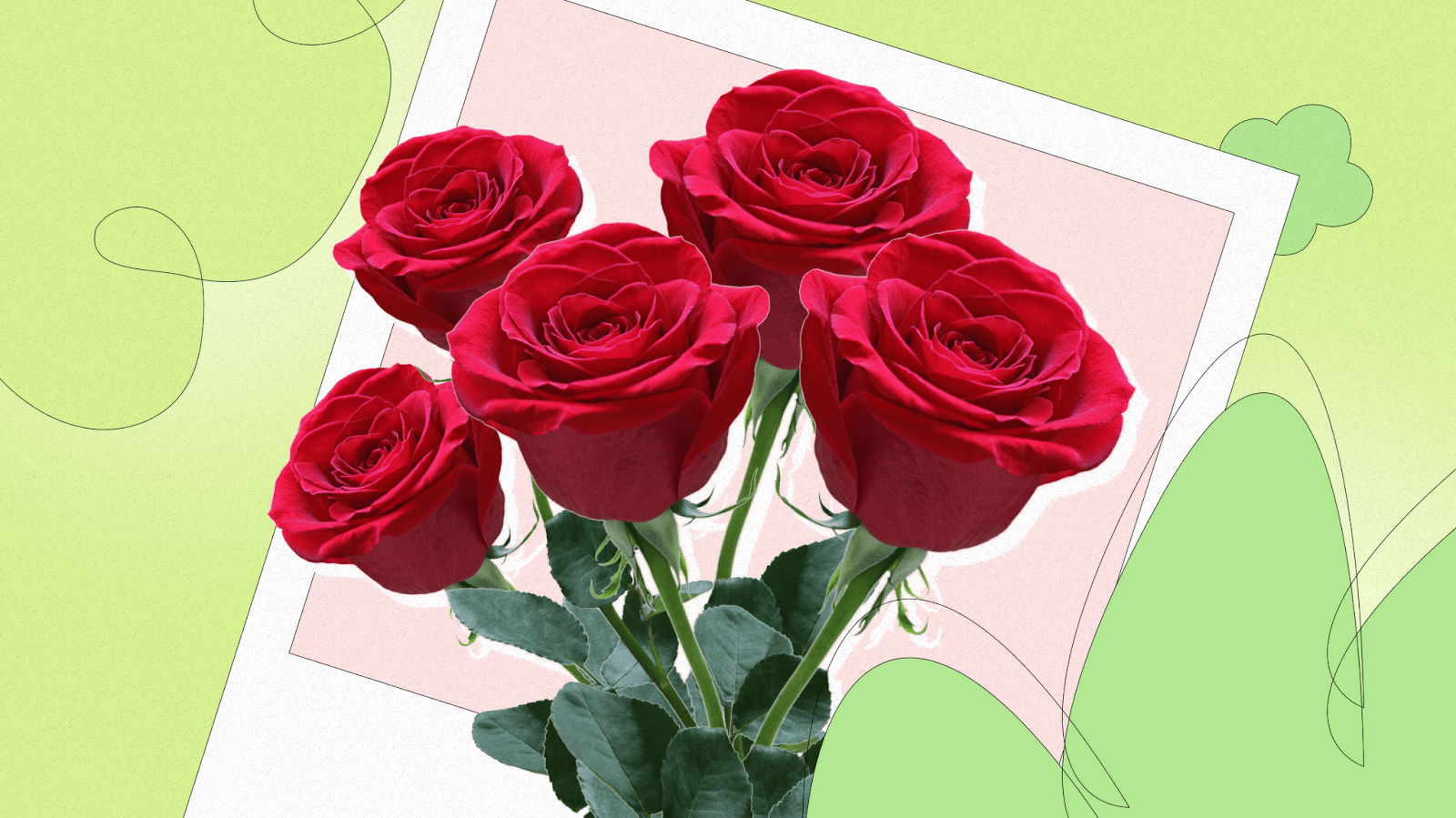 What do red roses mean?