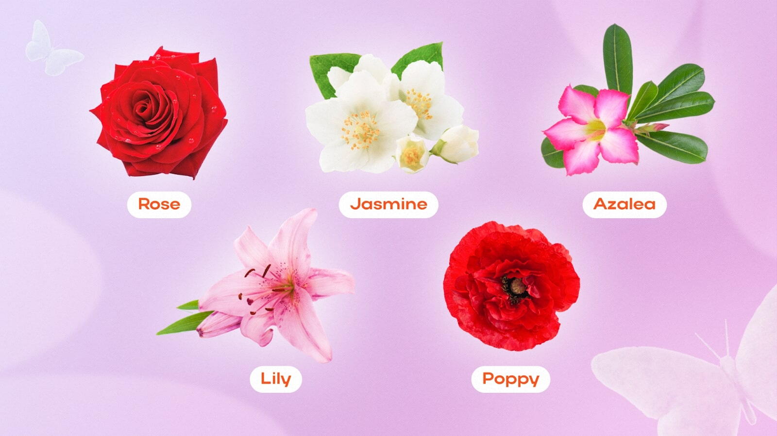Popular flower names