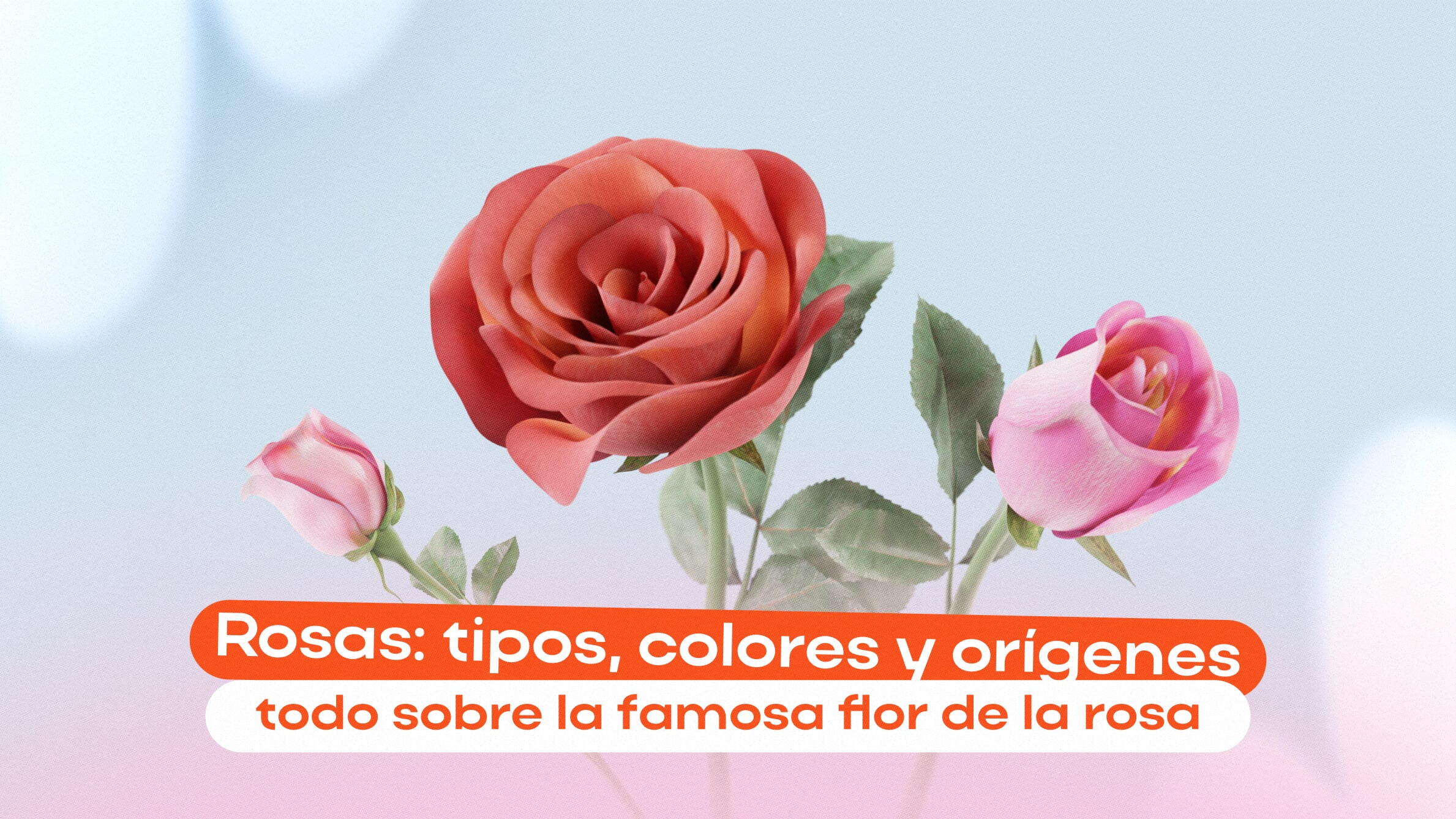 Rosas