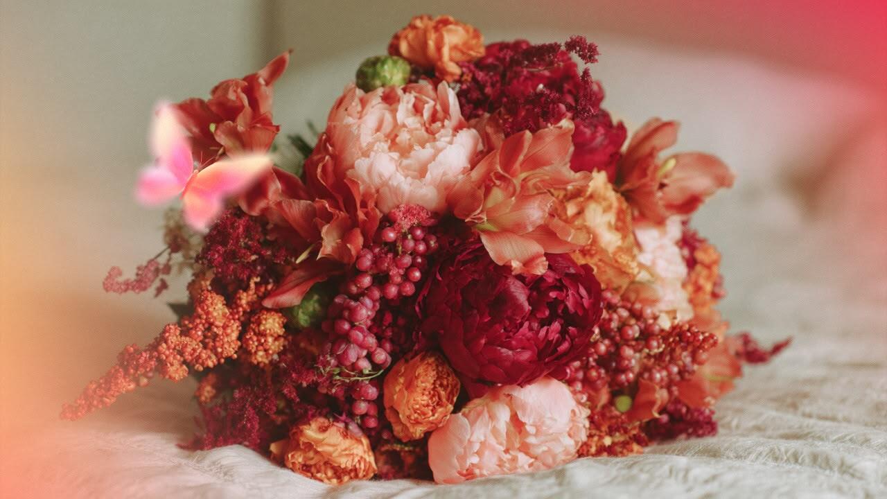 цветок для овнов