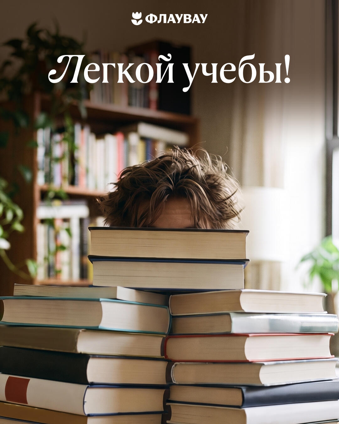 картинки открытки с днем студента