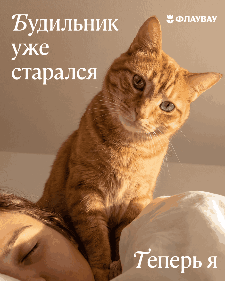 открытки с добрым утром