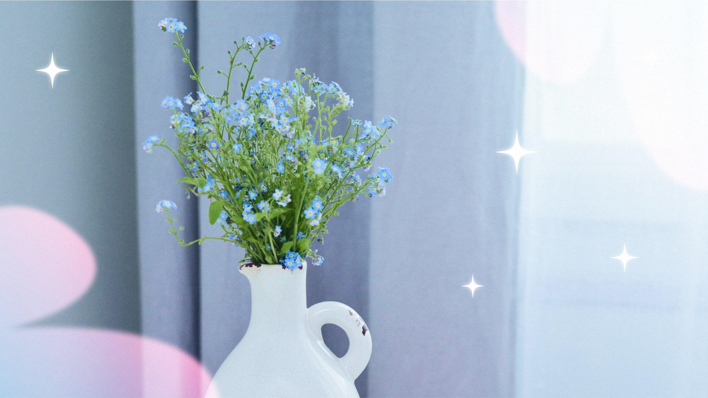 Forget-me-not flowers in a vase