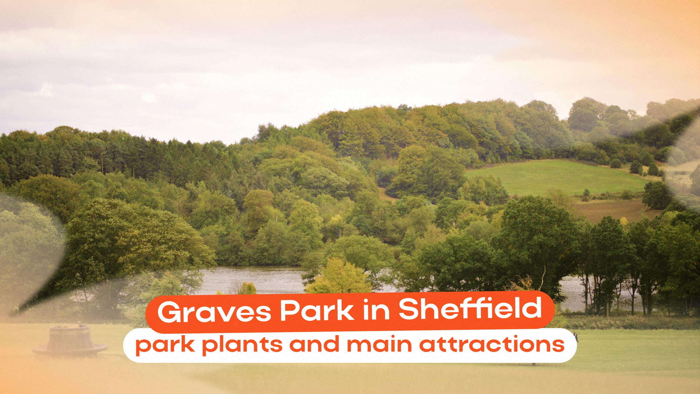 Graves park Sheffield