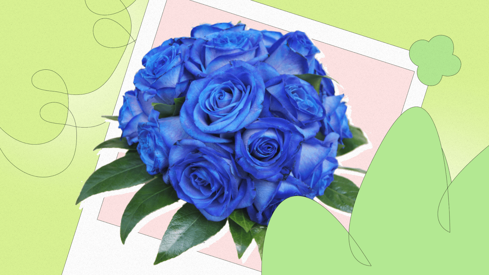 What do blue roses mean?