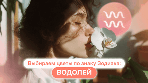 Выбираем цветы по знаку Зодиака: Водолей