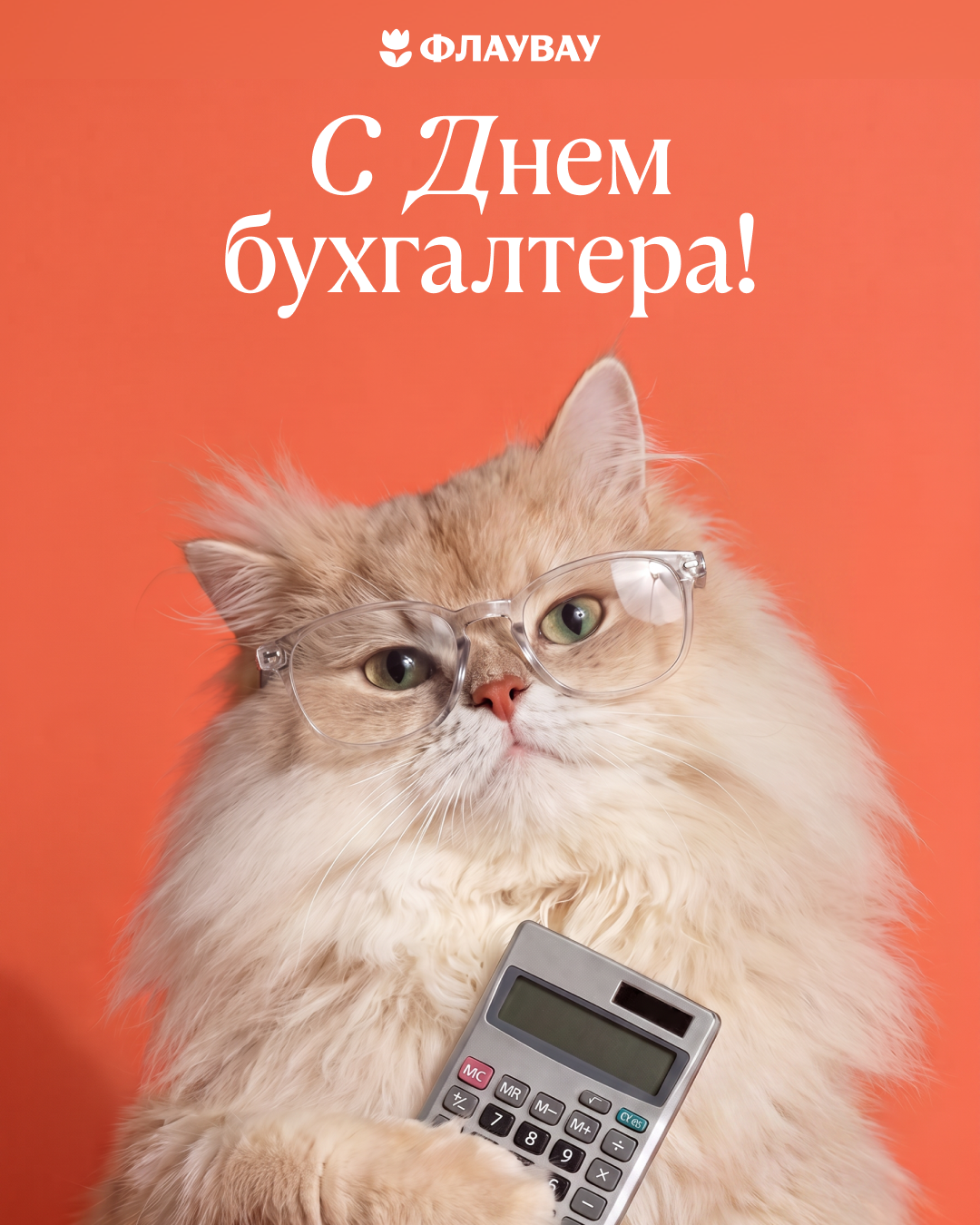Поздравление день бухгалтера прикольные
