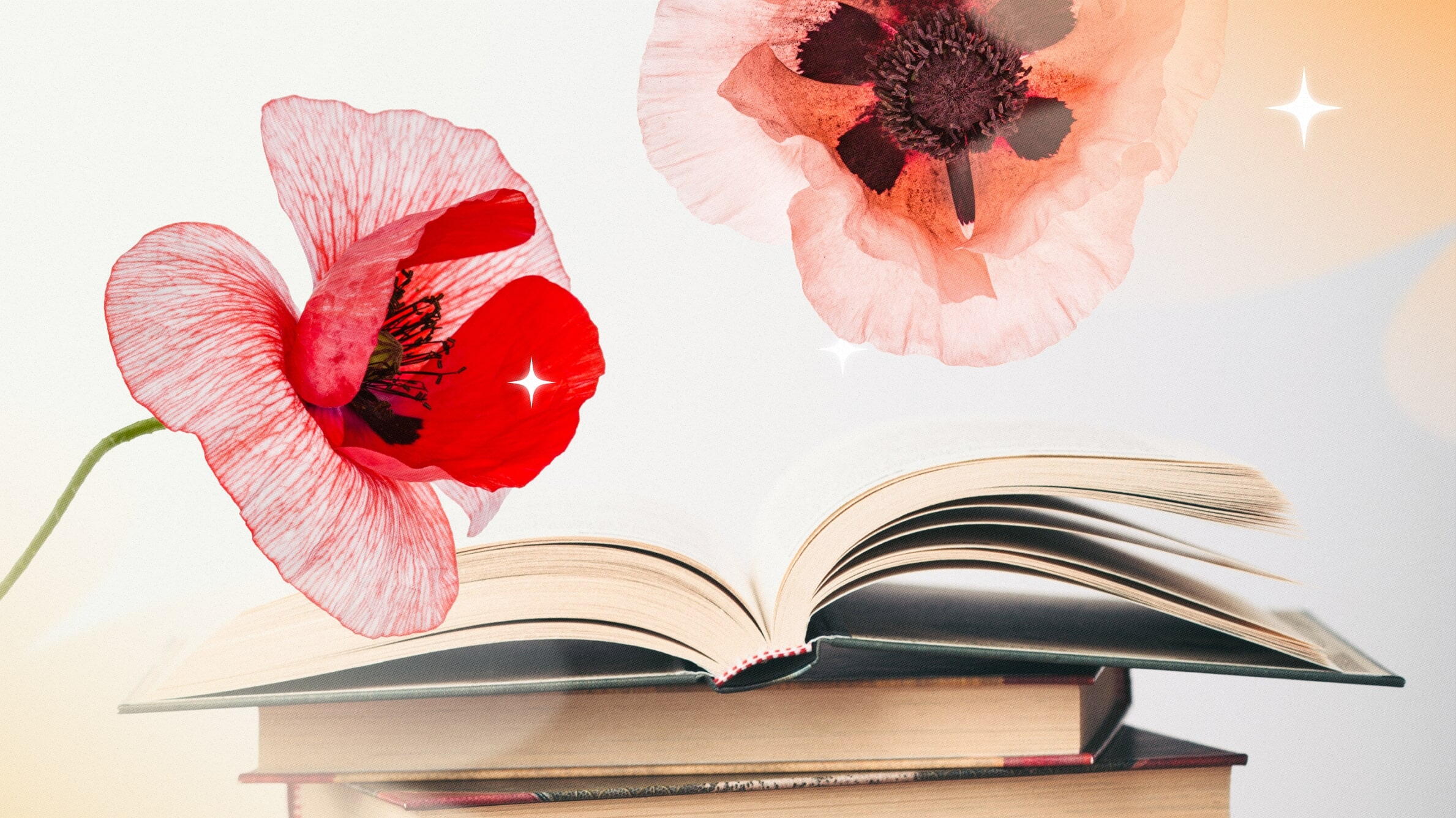Historical Significance of Poppy Flowers