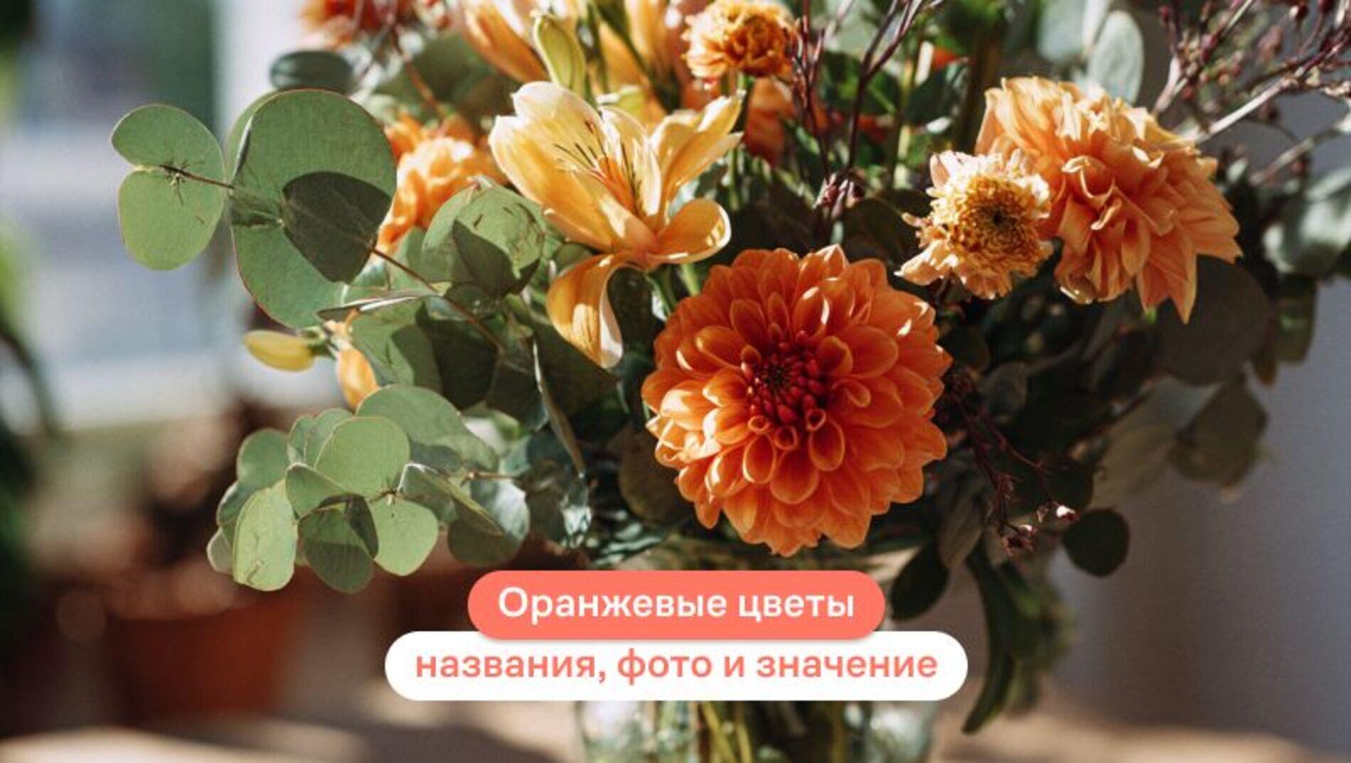 Оранжевые цветы: названия, фото и значение