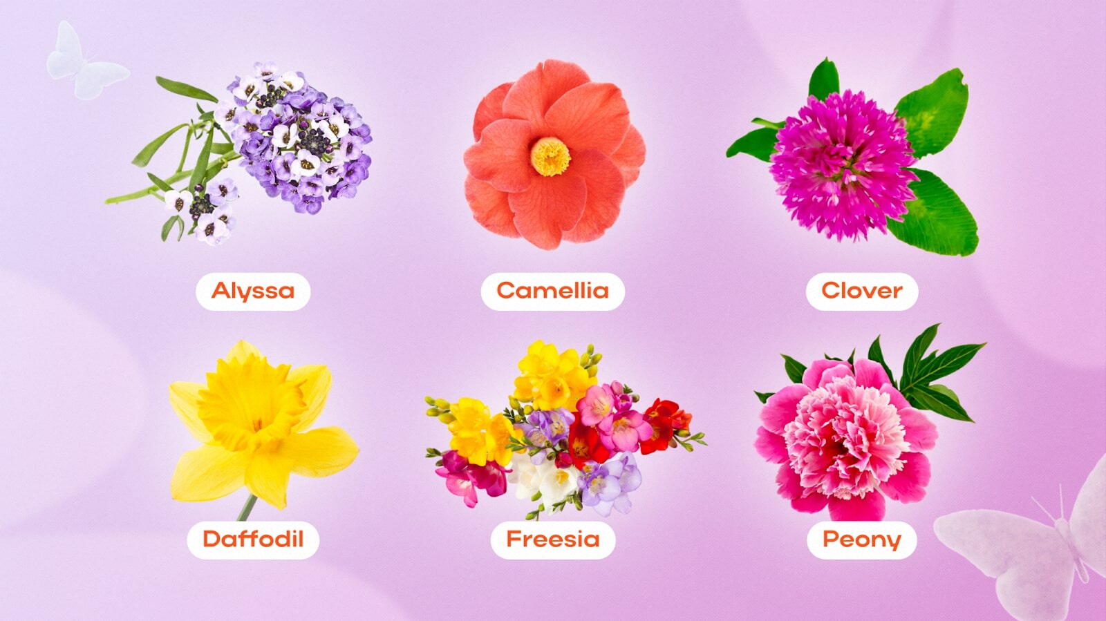 Pretty flower names for girls
