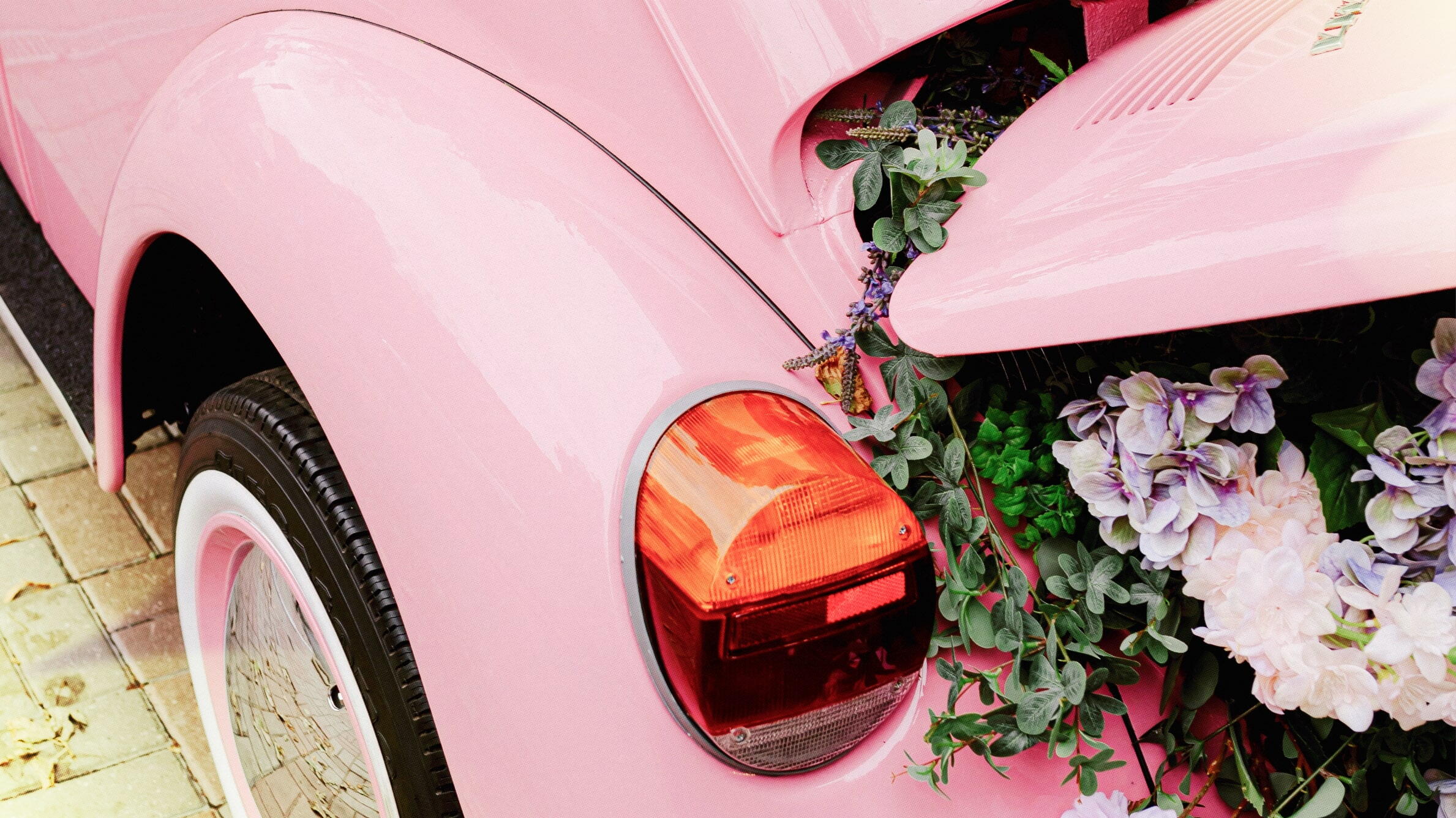 How long can flowers go without water in a car
