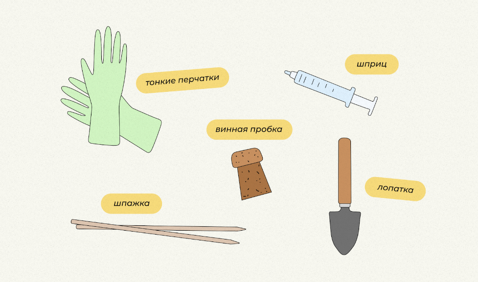 Инструменты для изготовления флорариума