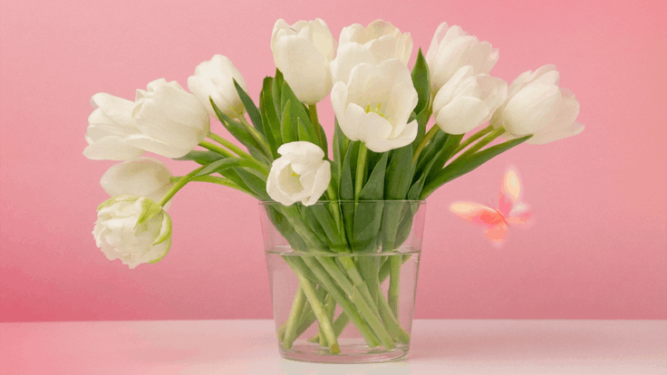 Вода для тюльпанов